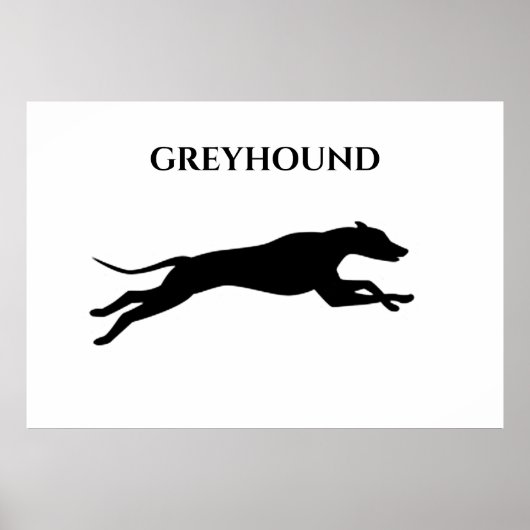 Affiche Greyhound. (Devant)