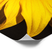 Affiche - Gros plan tournesol (Coin)