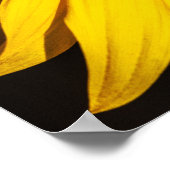 Affiche - Gros plan tournesol (Coin)