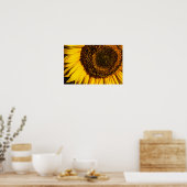 Affiche - Gros plan tournesol (Cuisine)