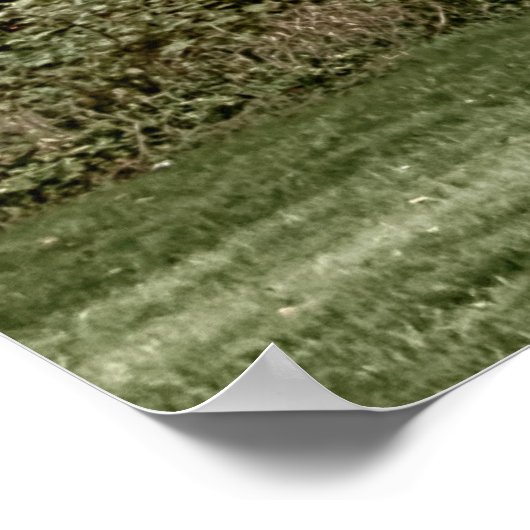 affiche hantée (Coin)