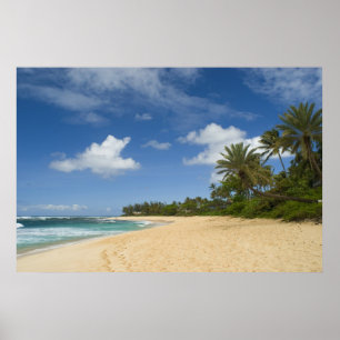 Affiche Hawaiian Beach FROM 8.99