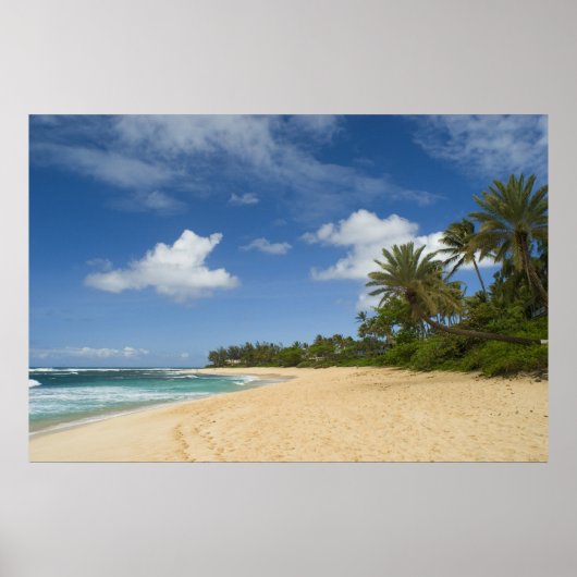 Affiche Hawaiian Beach FROM 8.99 (Devant)