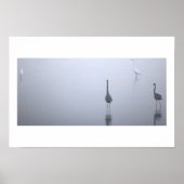 Affiche Heron Reflections (Devant)