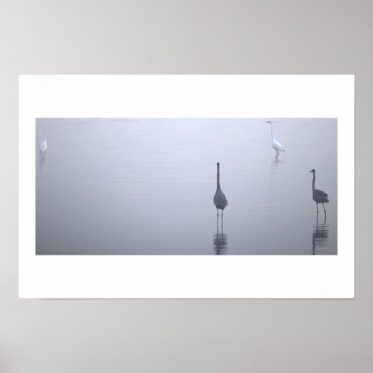 Affiche Heron Reflections (Devant)