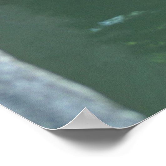 Affiche hippo (Coin)