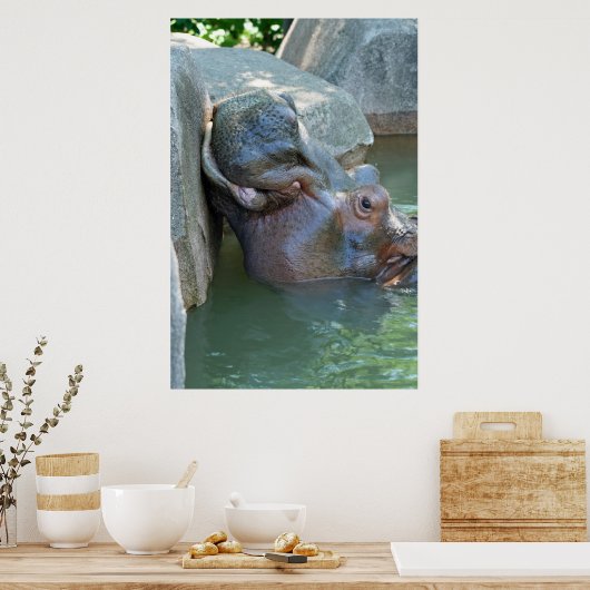 Affiche hippo (Cuisine)
