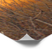 Affiche Horizon sur le lac Érié (Coin)