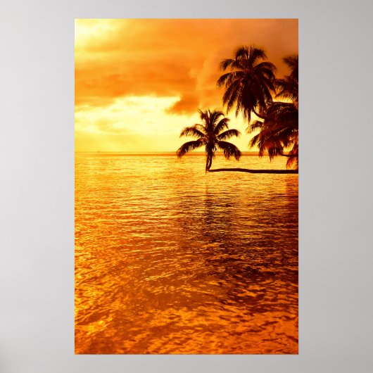 Affiche horizontale du coucher du soleil de palmie (Devant)