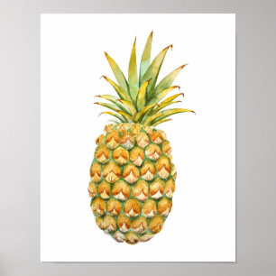Affiche illustrant l'ananas