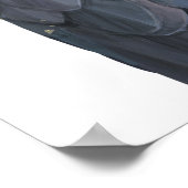 Affiche illustrant le Cockatoo noir australien (Coin)