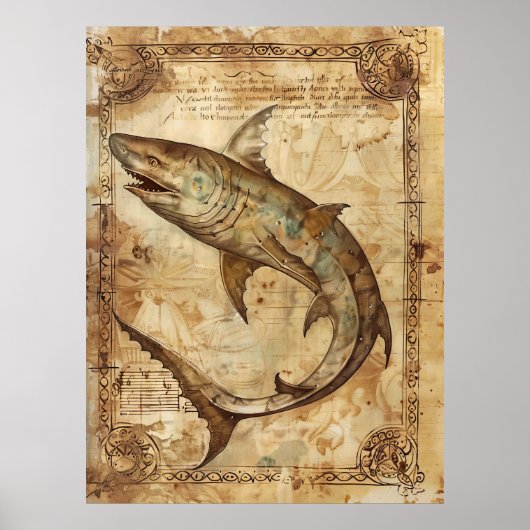 Affiche illustrant le requin vintage (Devant)