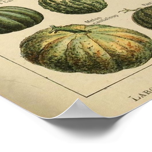 Affiche illustrant les légumes Adolphe Millot (Coin)