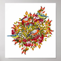 Affiche illustrant les Plantes botaniques et les o