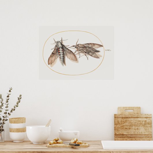 Affiche illustrant l'insecte vintage (Cuisine)