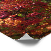 Affiche Imaginaire d'automne (15) (Coin)