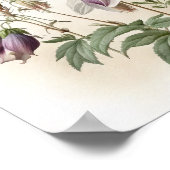 Affiche Impression Artistique de Fleurs de Colombi (Coin)