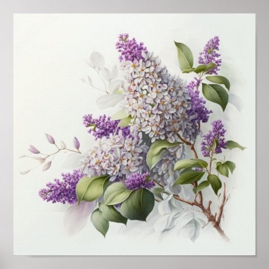 Affiche Impression Artistique Fleurs de Lilas (Devant)
