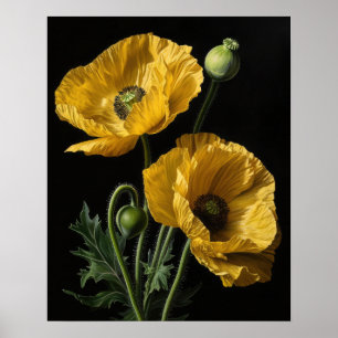 Affiche Impression Artistique Fleurs de Pavot de C