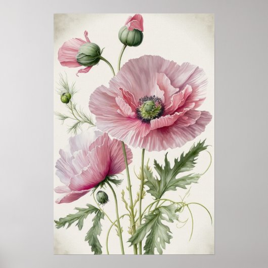 Affiche Impression Artistique Fleurs de Pavot Rose (Devant)