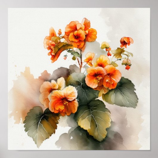 Affiche Impression d'Art Fleur de Bégonias Orange (Devant)