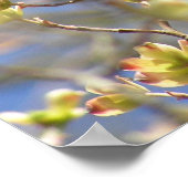 Affiche / Impression de Fleurs de Pommier - Printe (Coin)