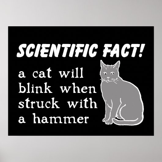Affiche imprimée drôle Chat Marteau Humour (Devant)