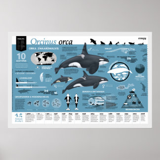 Affiche infographique - Édition néerlandaise