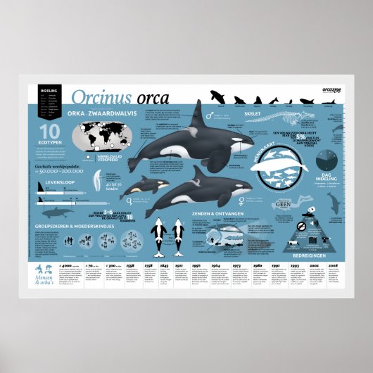 Affiche infographique - Édition néerlandaise (Devant)