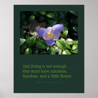 Affiche inspirante du jardin de Crocus