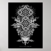 Affiche INTRAKiZI (Devant)