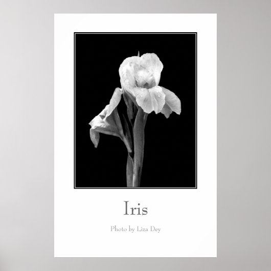 Affiche 'Iris' (Devant)
