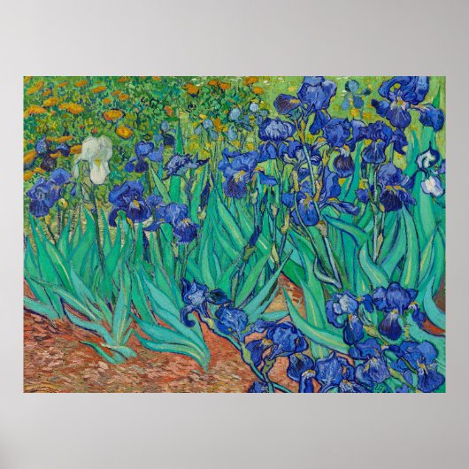 Affiche Iris de Van Gogh (Devant)