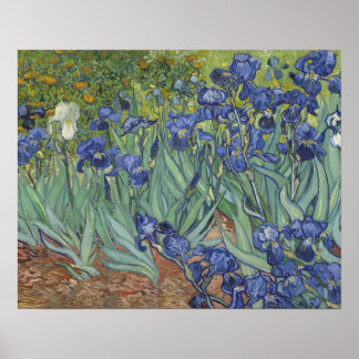 Affiche Irises