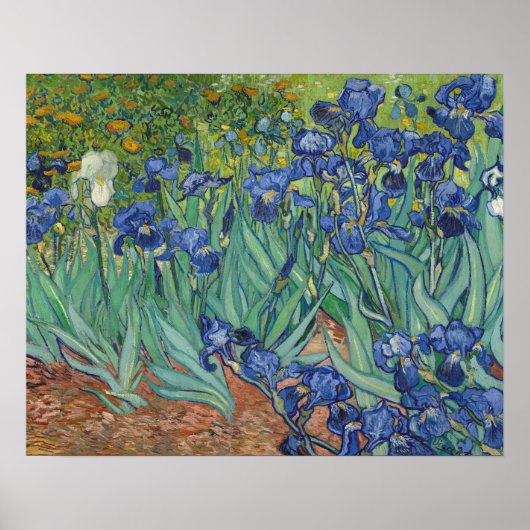 Affiche Irises (Devant)