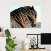 Affiche islandaise sur le portrait du cheval (Bureau à domicile)