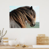 Affiche islandaise sur le portrait du cheval (Cuisine)