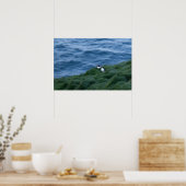 Affiche islandaise sur les oiseaux de Puffin (Cuisine)