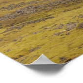 Affiche Islande (Coin)