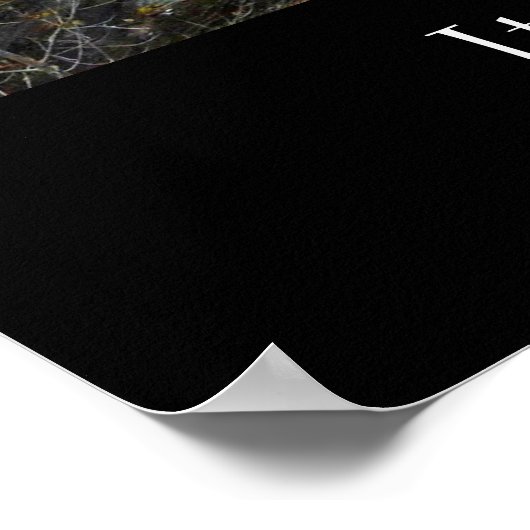 Affiche ITHACA NEW YORK GORGE (Coin)