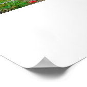 Affiche ITHACA NEW YORK GORGE (Coin)