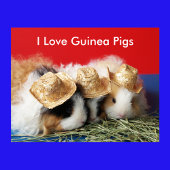 Affiche J'aime les cochons d'Inde