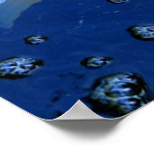 affiche japonaise koi carp (Coin)