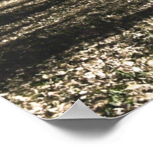 affiche jaune de la forêt (Coin)