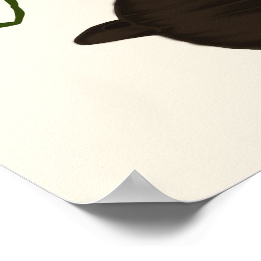 Affiche Kimchi Friends (Coin)