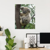 Affiche Koala Dans Arbre Australie (Bureau à domicile)