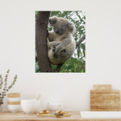 Affiche Koala Dans Arbre Australie (Cuisine)