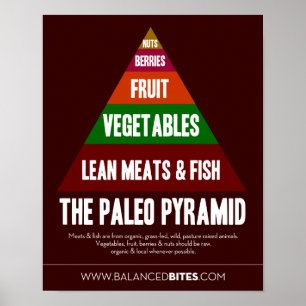 Affiche : La pyramide de Paleo