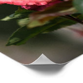 Affiche La Rose Flétrie (Coin)
