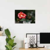 Affiche La Rose Flétrie (Bureau à domicile)
